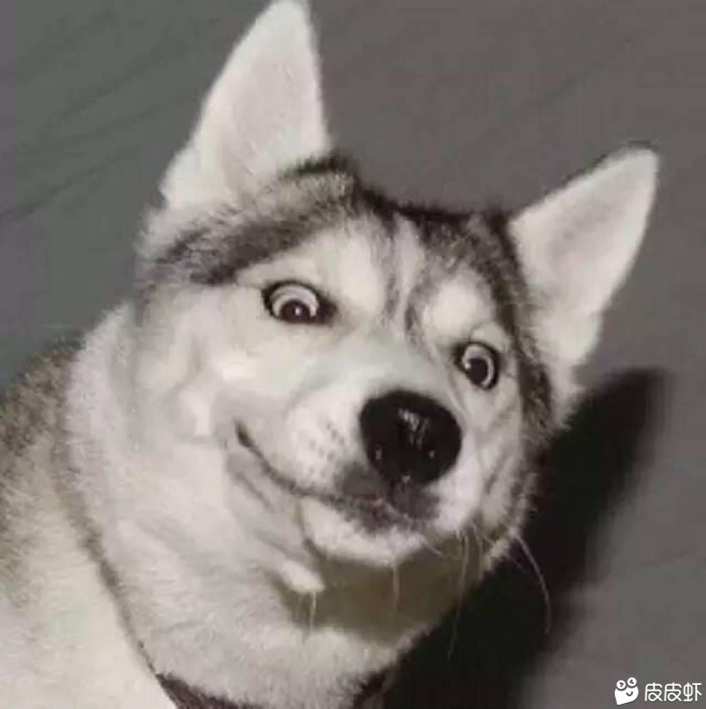 崔笑颜
